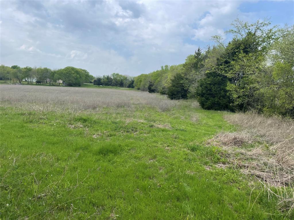 Magnolia Farms - Land