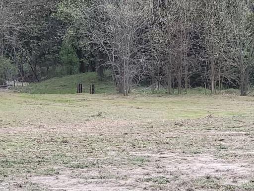 Magnolia Farms - Land
