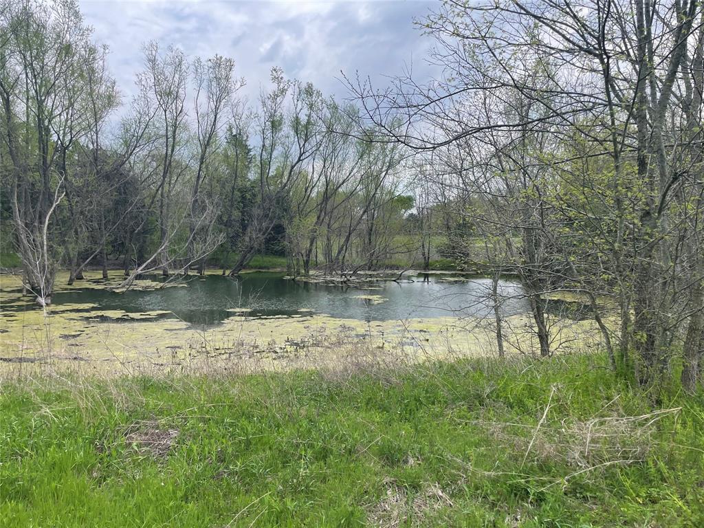 Magnolia Farms - Land