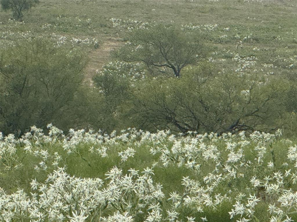 Mabel Estates Ph 2 - Land