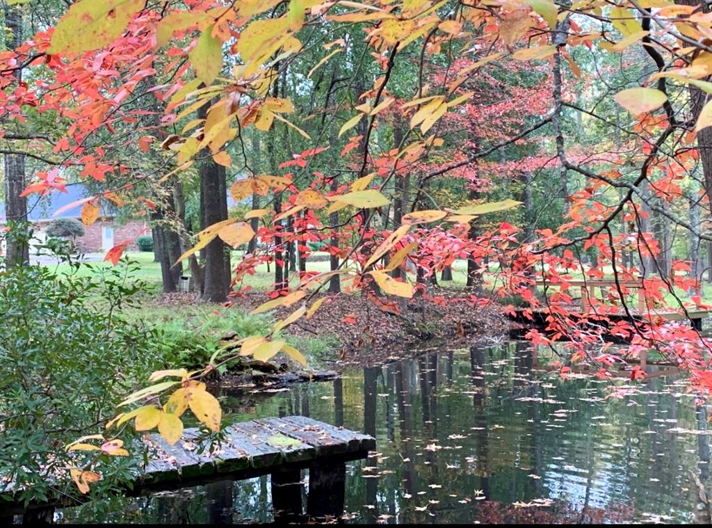 Elliott # 3 - Residential