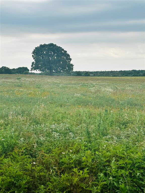 Holiday Ranch - Land