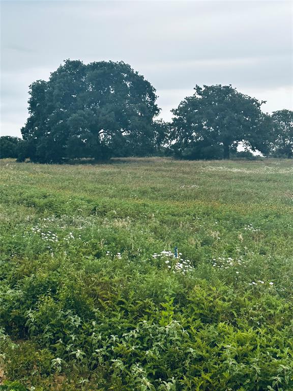 Holiday Ranch - Land