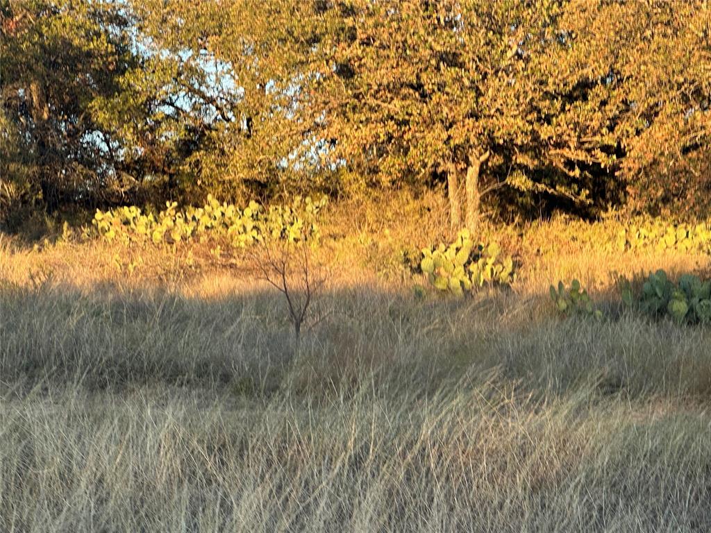 2112-C County Road 126