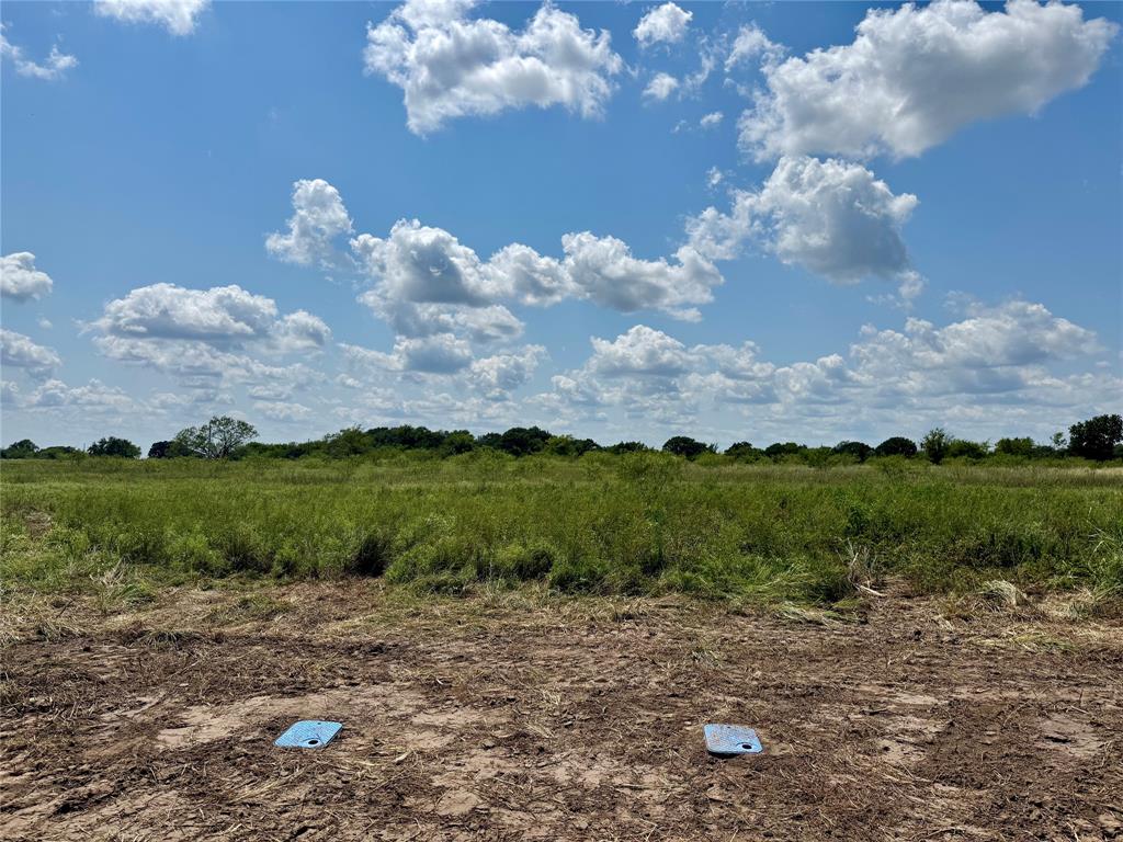 Levi Ford Surv Abs #156 - Land