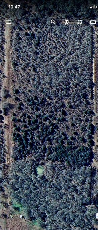 000 County Road 123