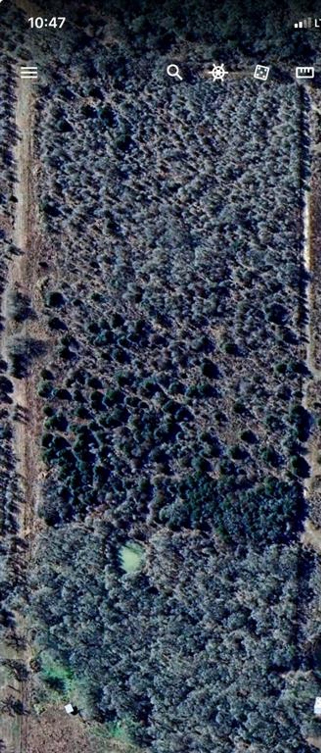 Photo of 000 County Road 123, Ledbetter, TX 78946 (MLS # 20957365)
