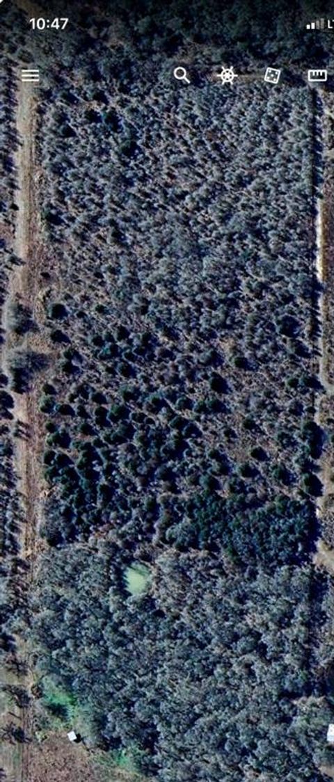 Tiny photo for 000 County Road 123, Ledbetter, TX 78946 (MLS # 20957365)