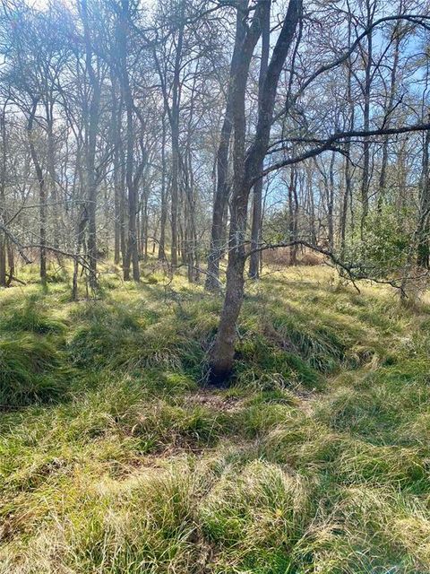 Tiny photo for 000 County Road 123, Ledbetter, TX 78946 (MLS # 20957365)