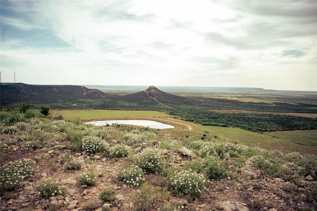 Edminson's Sub - Farm