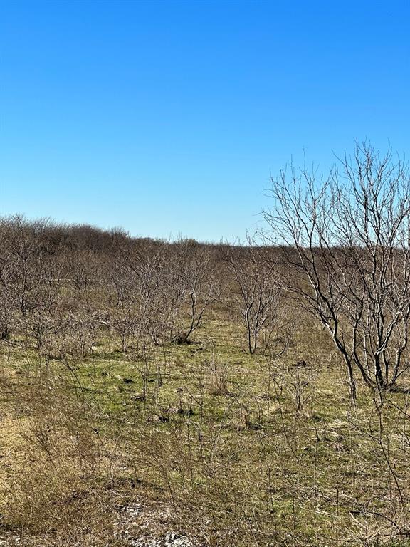 Daniel Scott Surv Abs #1171 - Land