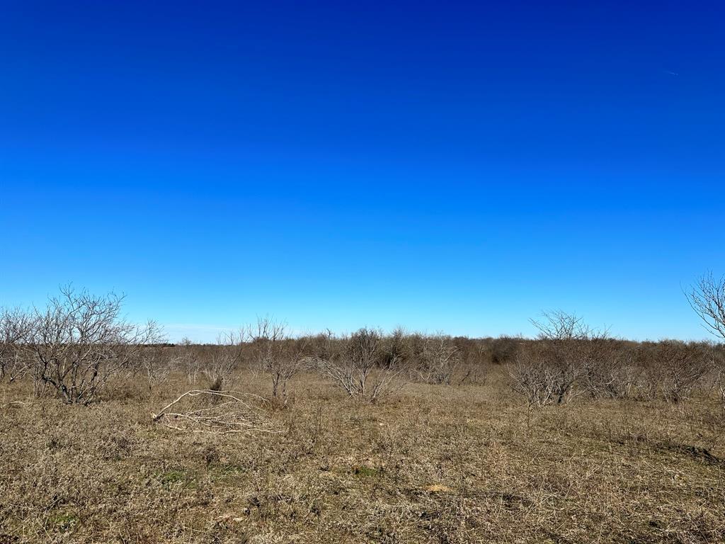 Daniel Scott Surv Abs #1171 - Land