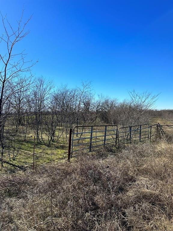 Daniel Scott Surv Abs #1171 - Land