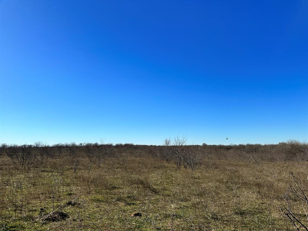 Daniel Scott Surv Abs #1171 - Land