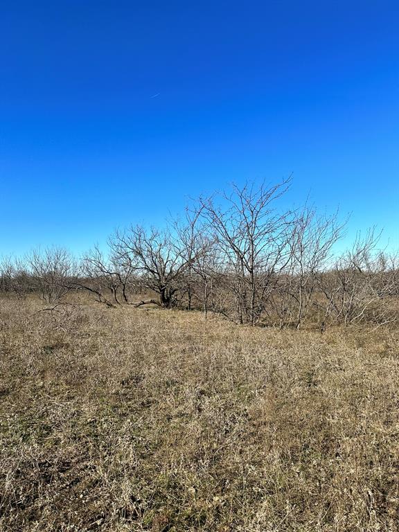 Daniel Scott Surv Abs #1171 - Land