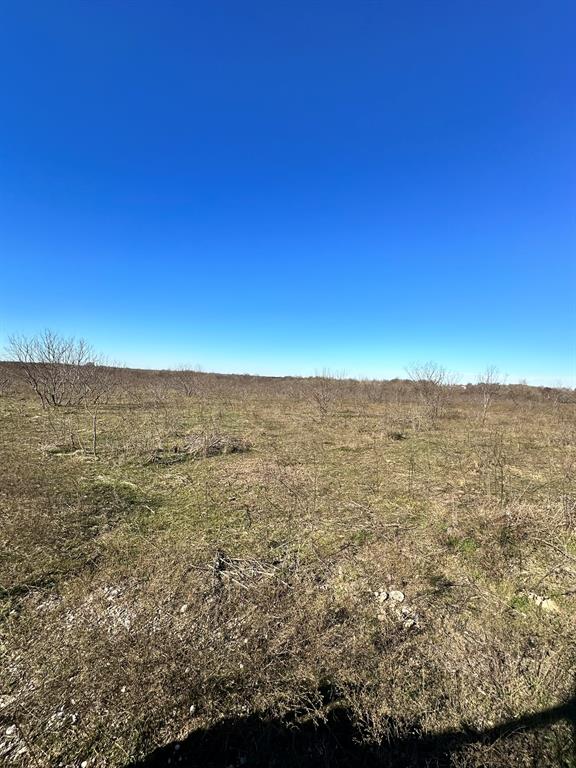 Daniel Scott Surv Abs #1171 - Land