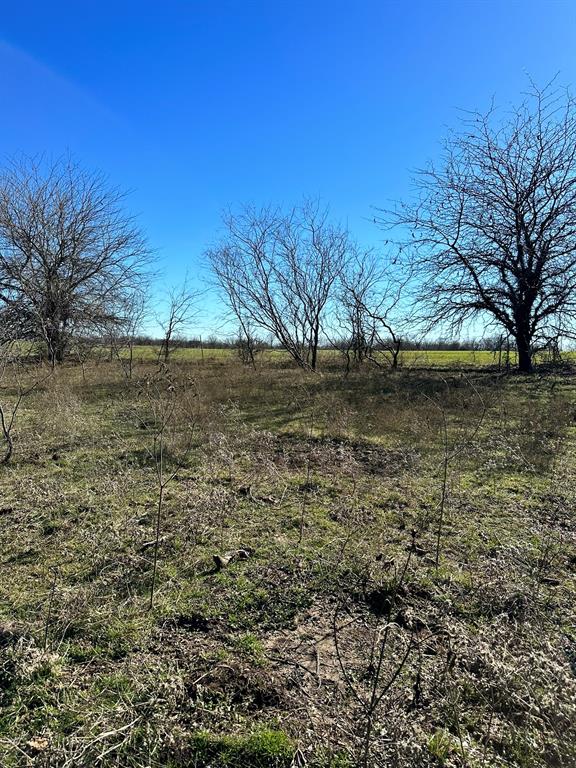 Daniel Scott Surv Abs #1171 - Land