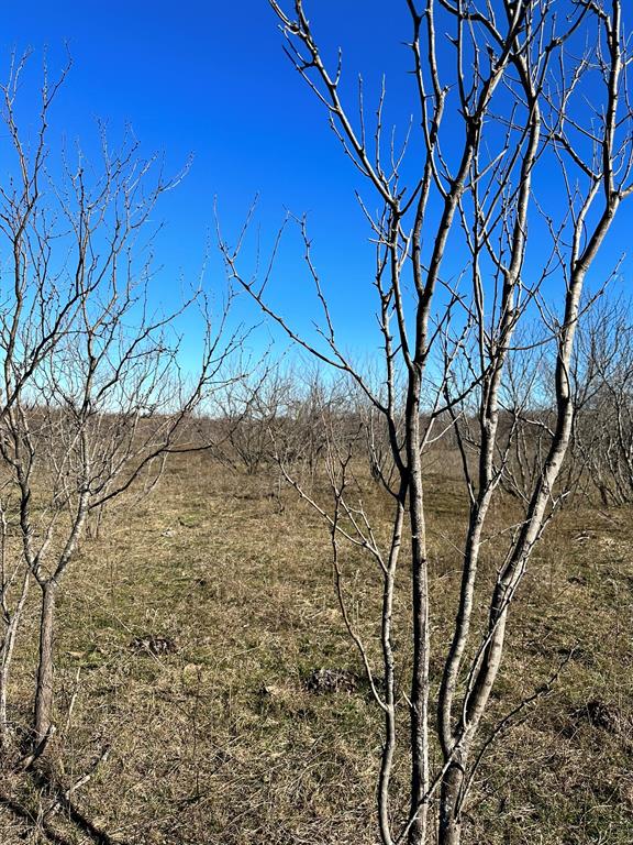 Daniel Scott Surv Abs #1171 - Land