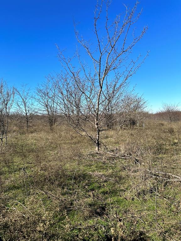 Daniel Scott Surv Abs #1171 - Land