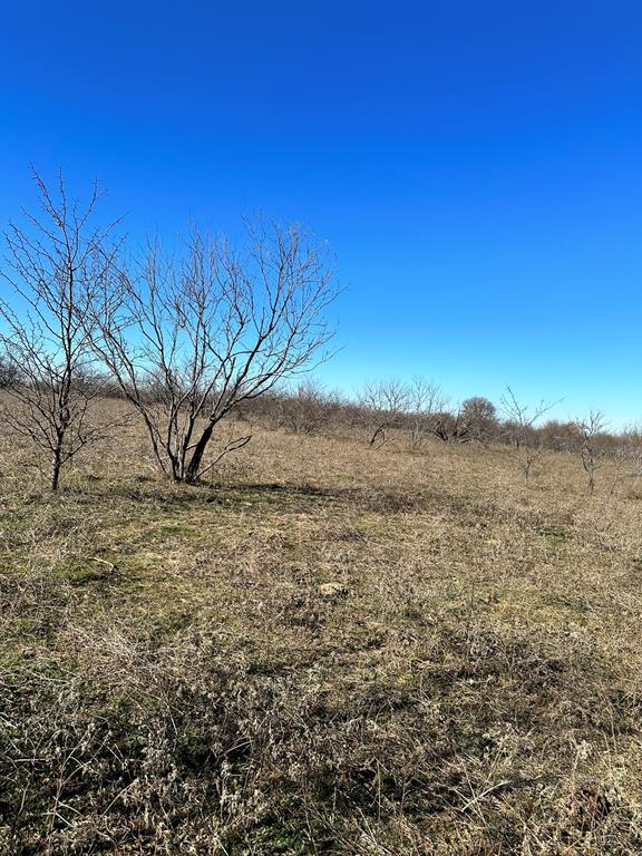 Daniel Scott Surv Abs #1171 - Land