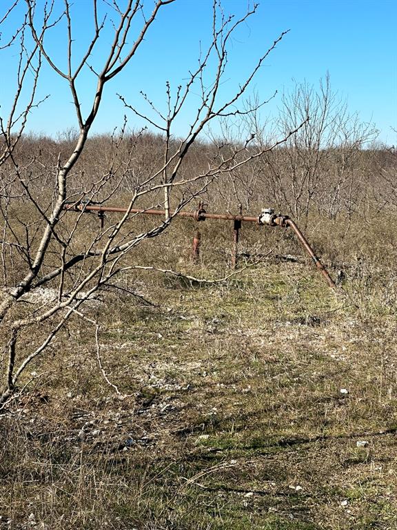 Daniel Scott Surv Abs #1171 - Land