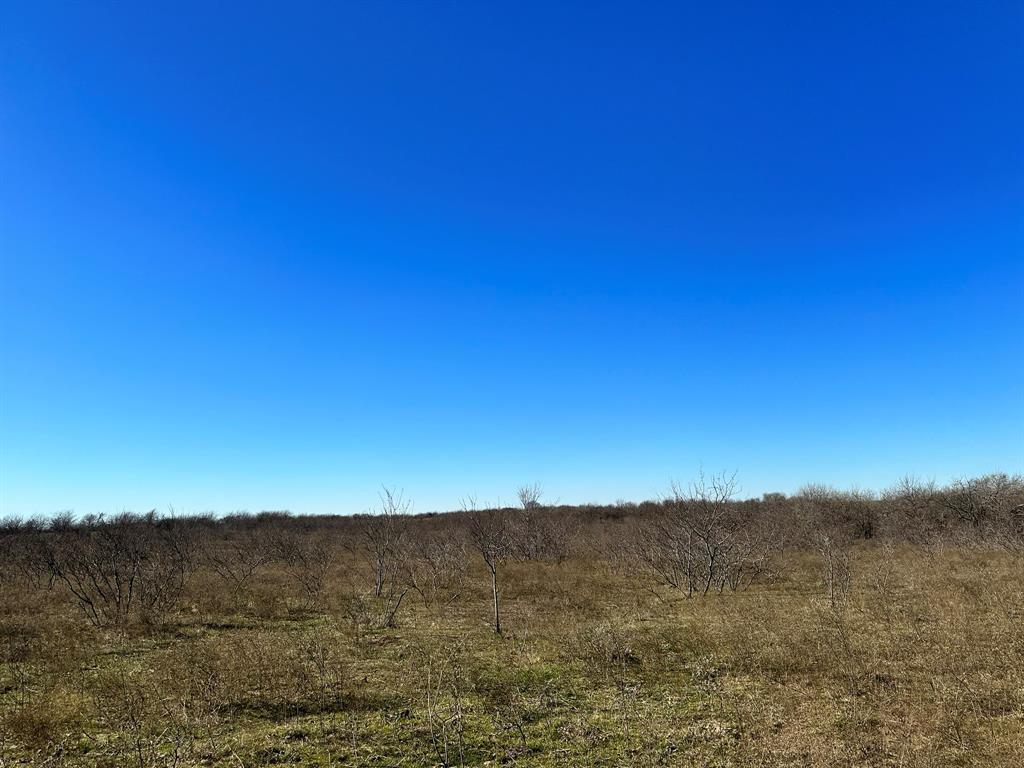 Daniel Scott Surv Abs #1171 - Land