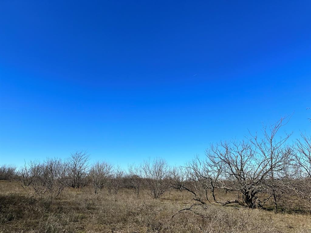 Daniel Scott Surv Abs #1171 - Land