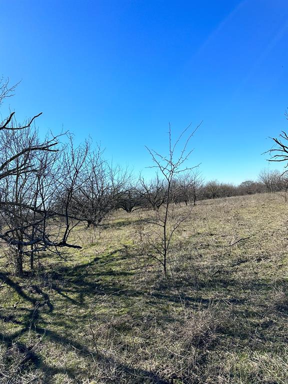 Daniel Scott Surv Abs #1171 - Land