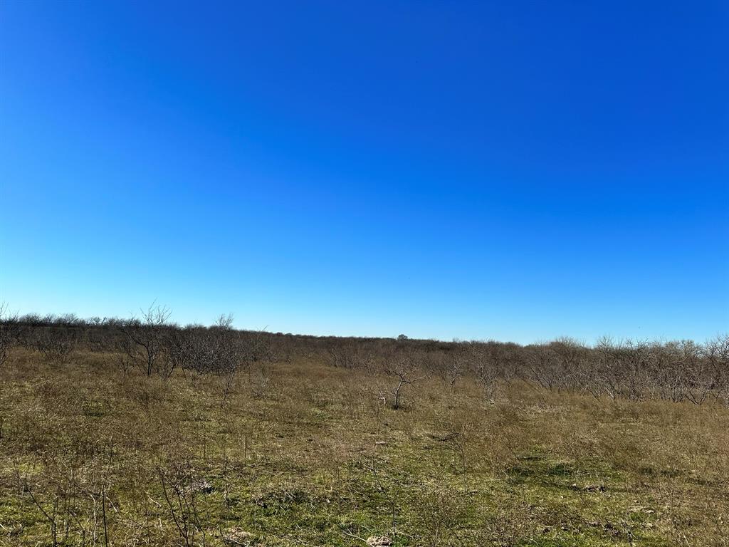 Daniel Scott Surv Abs #1171 - Land