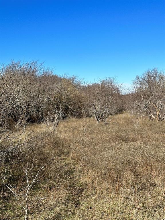 Daniel Scott Surv Abs #1171 - Land