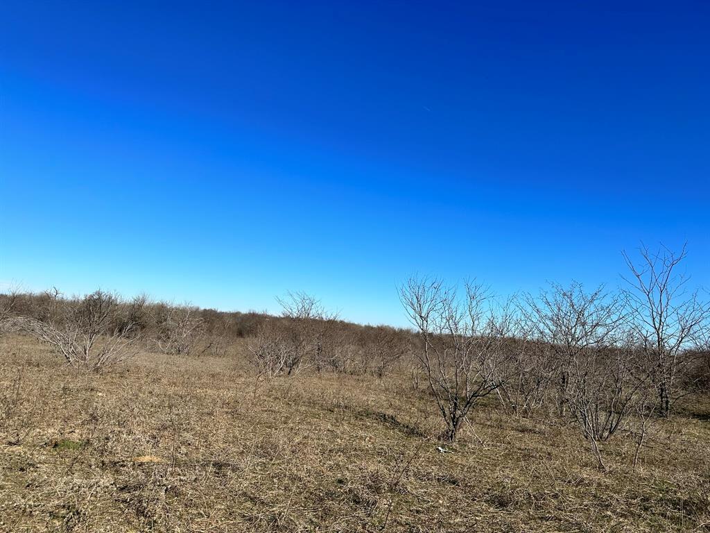 Daniel Scott Surv Abs #1171 - Land