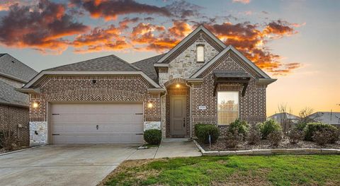 A home in Little Elm