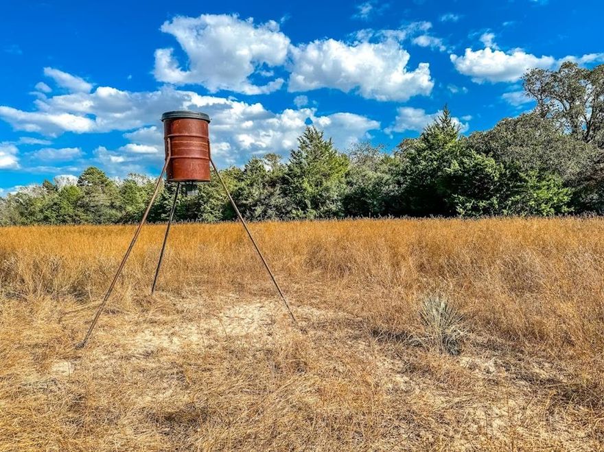 10+ acres in Leon County Tx. Hunting & recreation property with perimeter fence and a good mix of natural cover and open pasture. Deer feeder will convey.