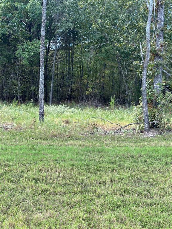 Angler Shores - Land