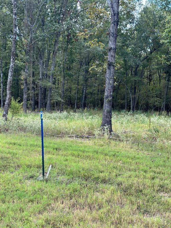 Angler Shores - Land