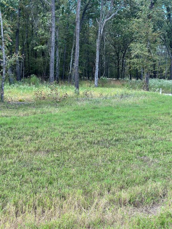 Angler Shores - Land