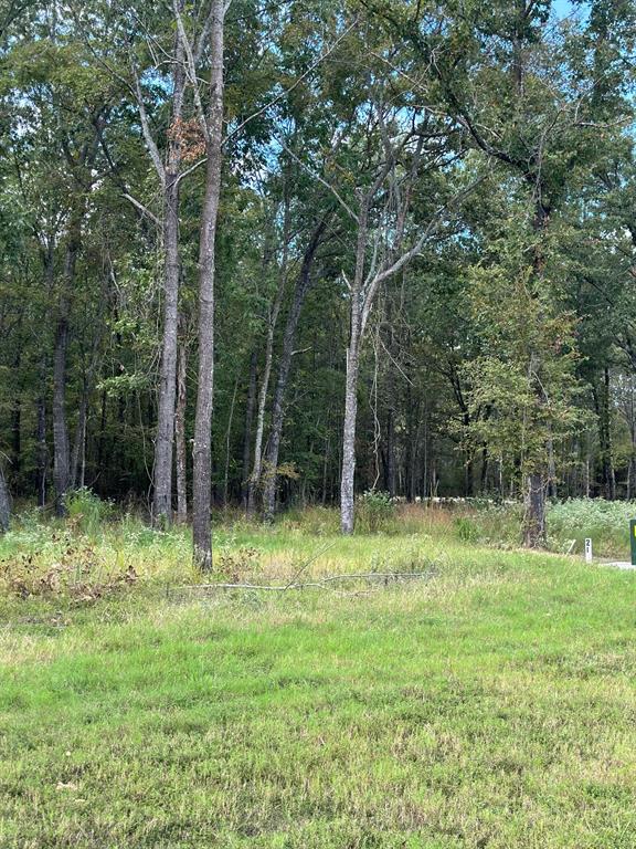 Angler Shores - Land