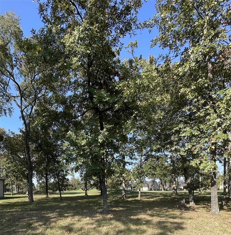 Pinnacle Club - Land