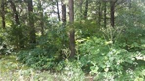 Sherwood Shores - Land