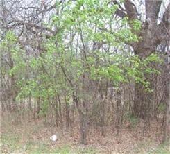 Sherwood Shores - Land