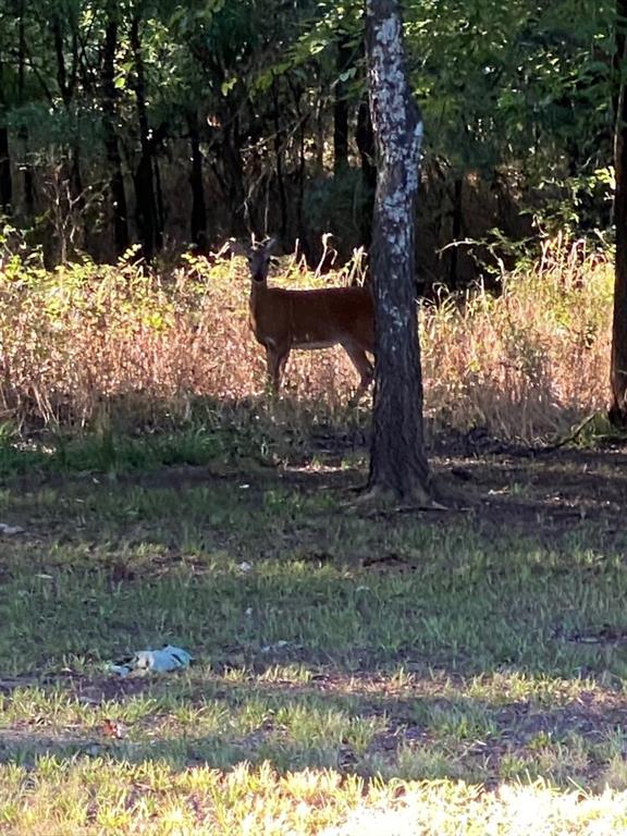 Nocona Hills - Residential