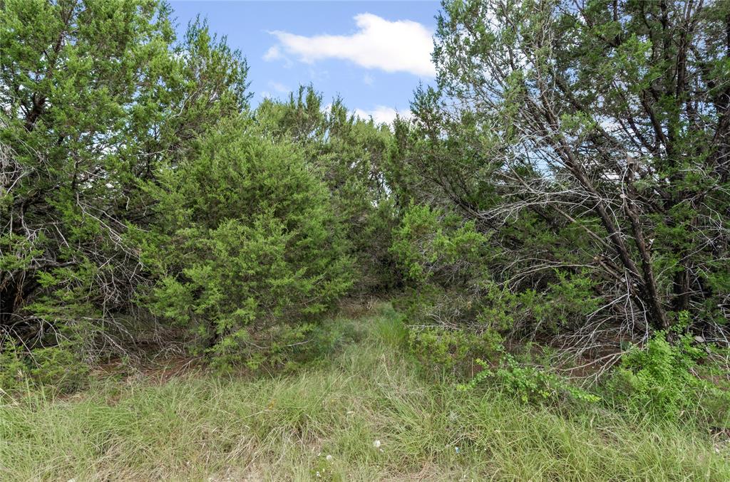 821 Pecos River Drive