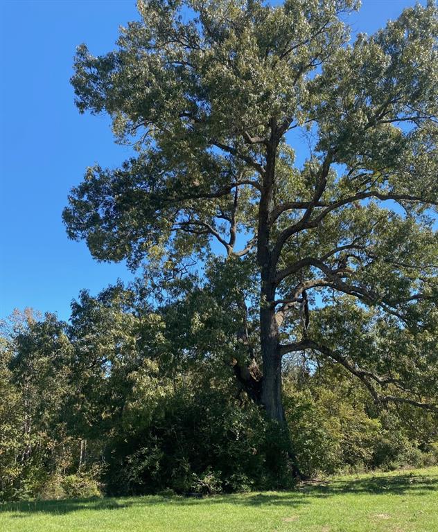 J Long Surv Abs 507 - Farm