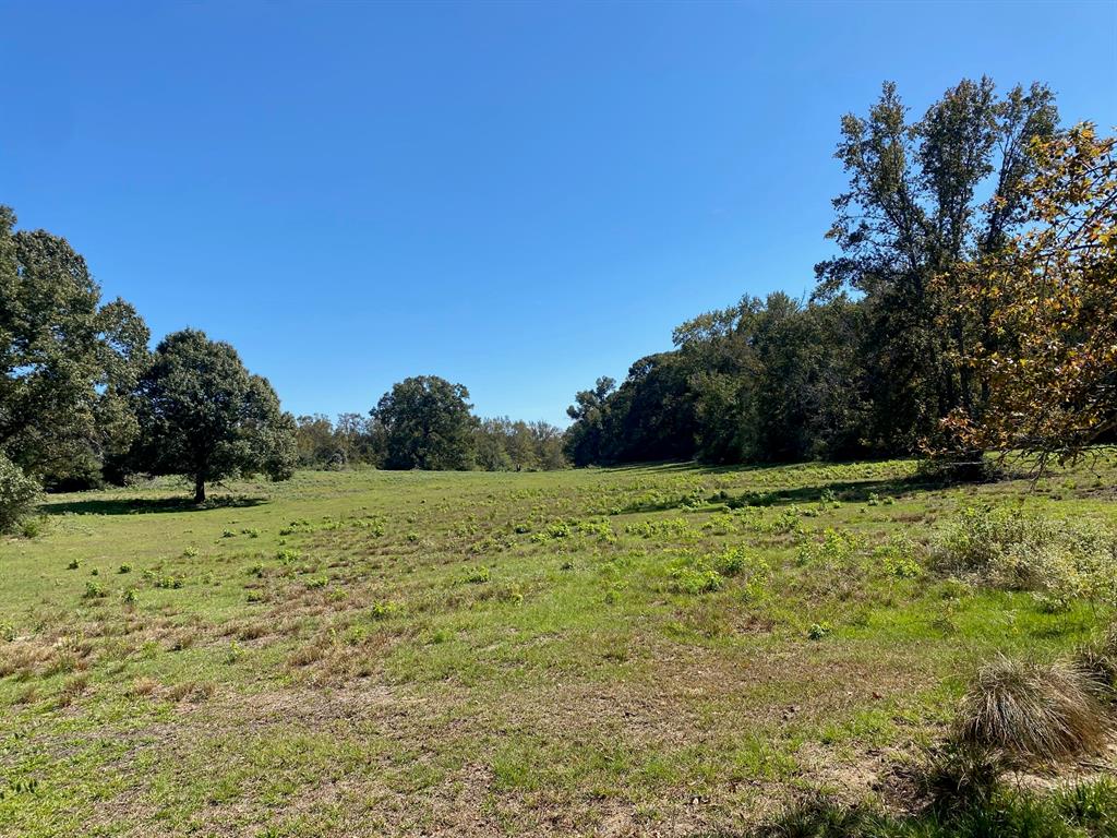 TBD 004 County Road 242