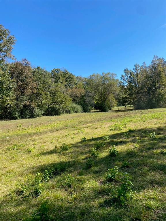 TBD 004 County Road 242