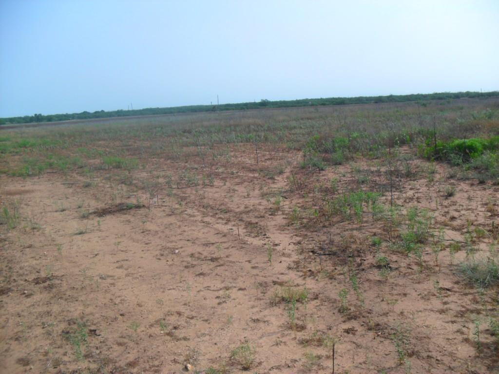TBD fm 1750 FM 1750