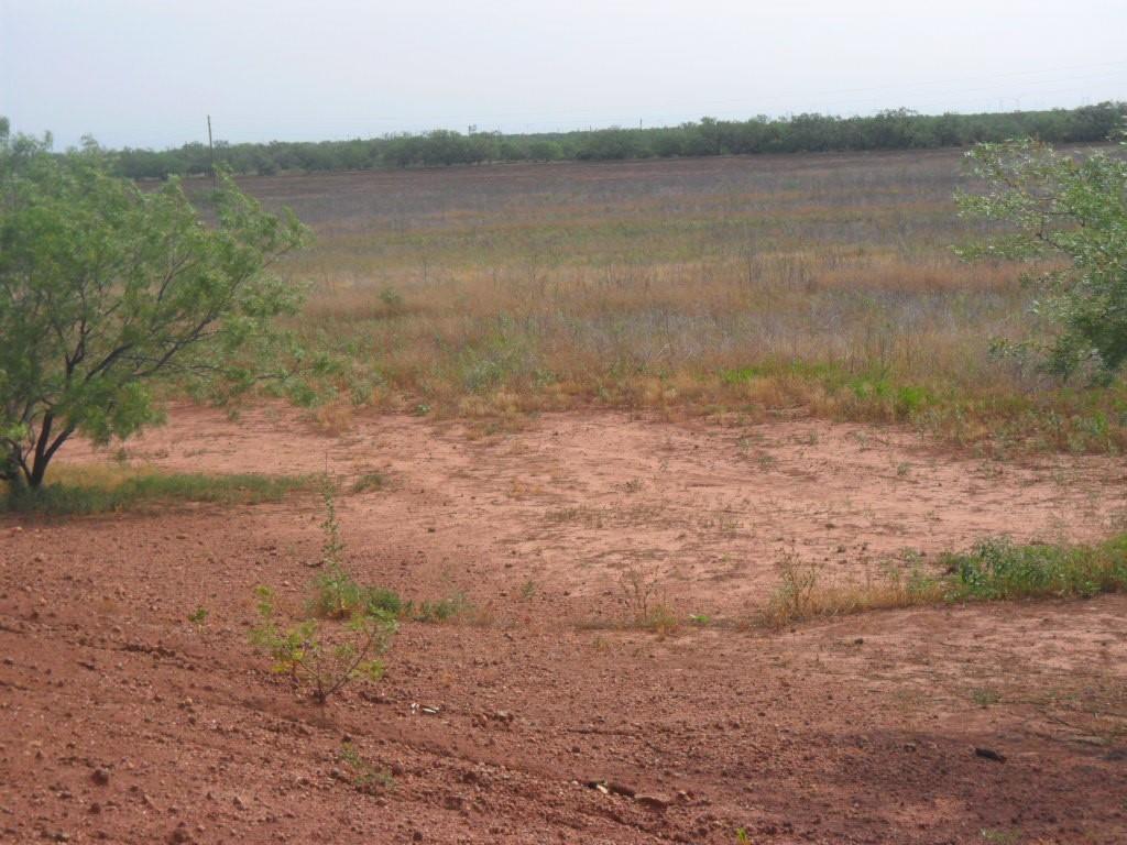 TBD fm 1750 FM 1750