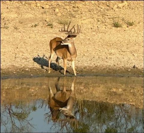 2367 County Road 311 Gouldbusk TX 76845