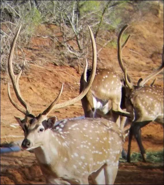 2367 County Road 311