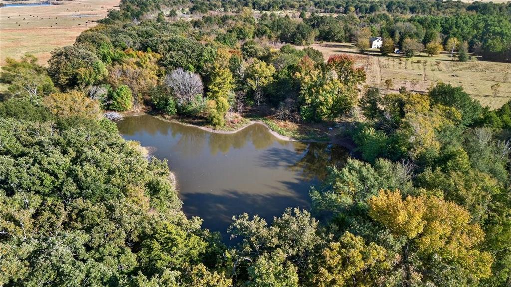 Eustace - Residential